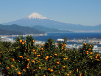 富士山２０１３年１１月１９日