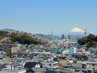 富士山と八幡山の桜