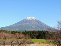 富士山２０１４年１１月１３日朝霧