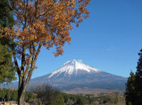 富士山２０１７年１２月５日まかいの牧場