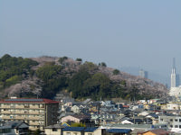 八幡山２０１８年３月２８日