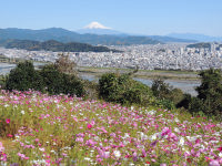 富士山２０１８年１０月２１日円山花木園