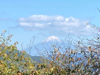 富士山２０２０年１０月２１日愛宕霊園