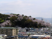 ２０２１年４月２日八幡山