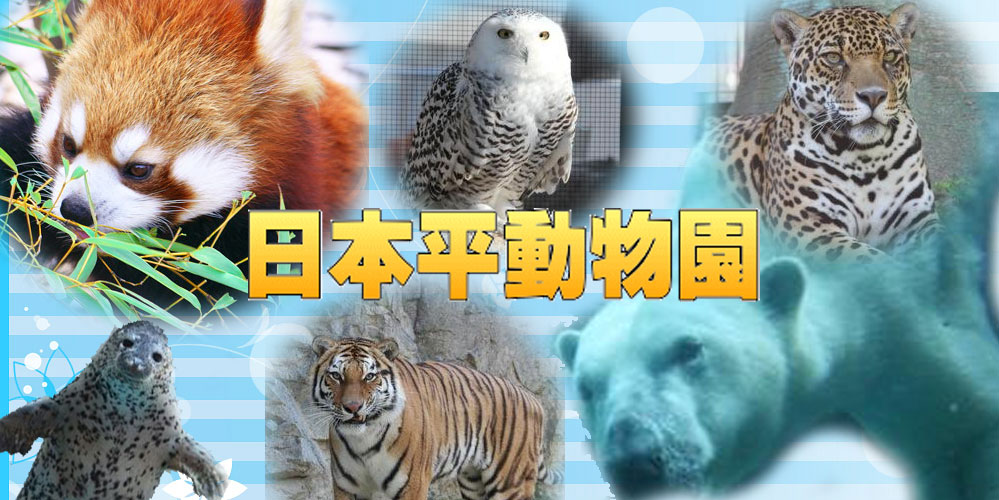 日本平動物園とは