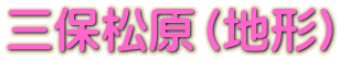 三保松原(地形)