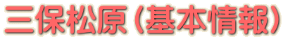 三保松原(基本情報)